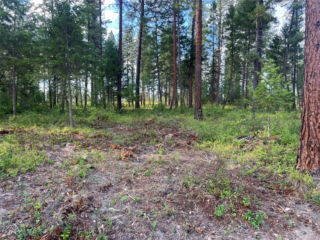 Tbd Granite Lake Road Libby MT 59923