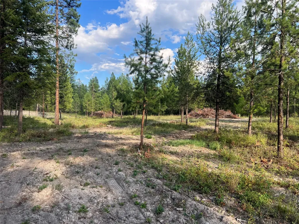 Tbd Granite Lake Road Libby MT 59923
