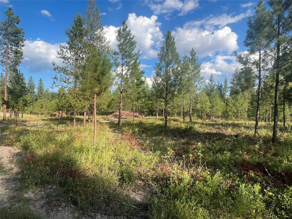 Tbd Granite Lake Road Libby MT 59923
