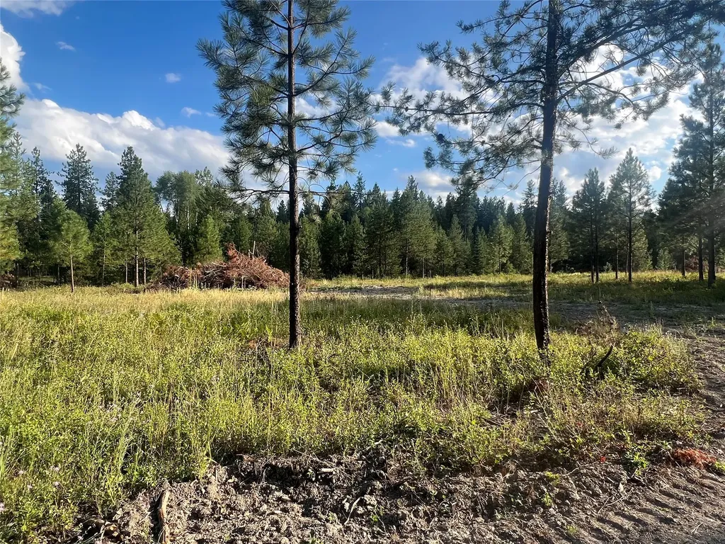 Tbd Granite Lake Road Libby MT 59923