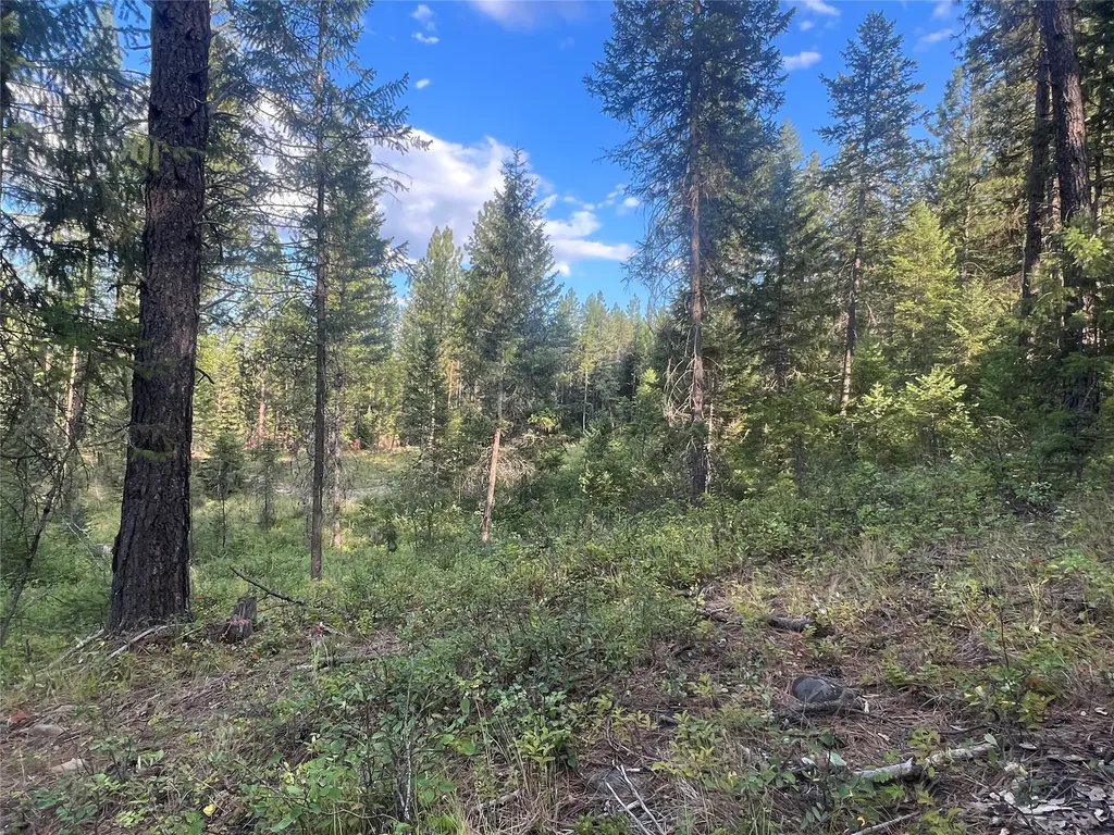 Tbd Granite Lake Road Libby MT 59923