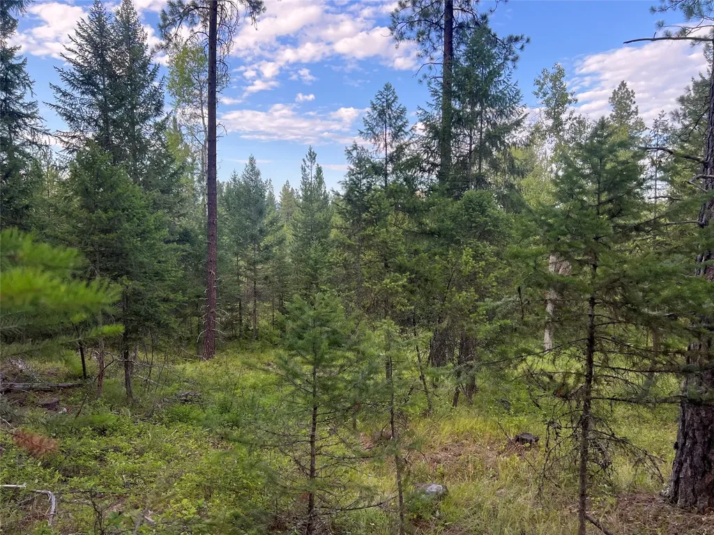 Tbd Granite Lake Road Libby MT 59923