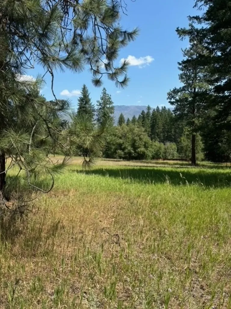 3 Prospect Creek Road Thompson Falls MT 59873