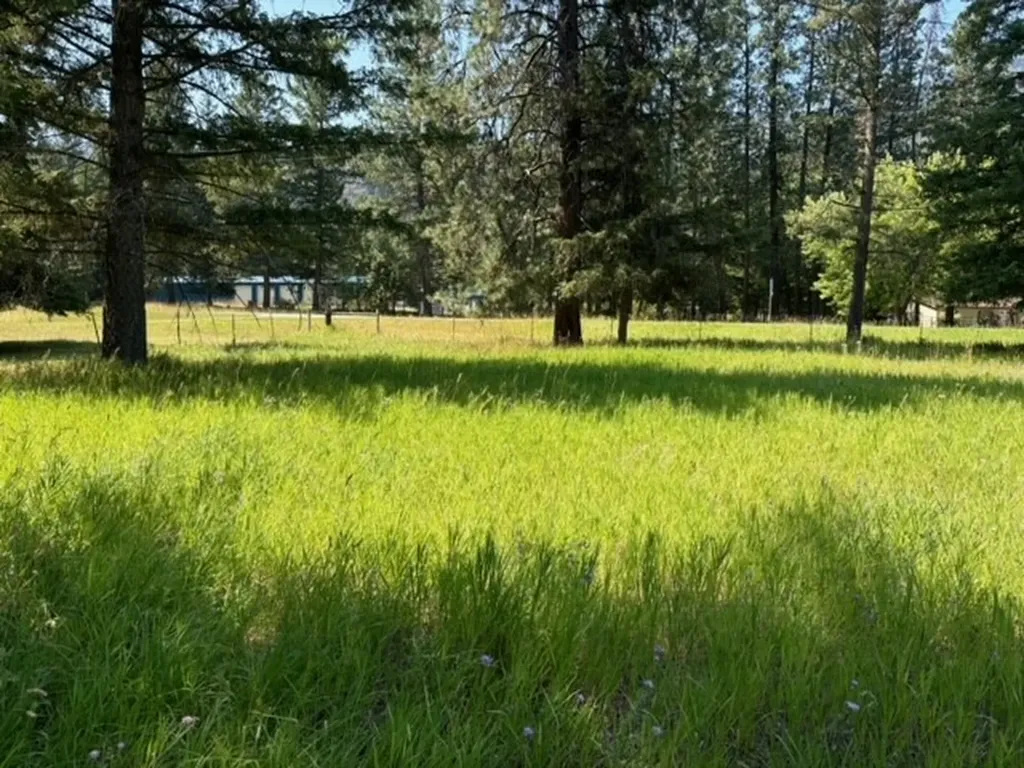 3 Prospect Creek Road Thompson Falls MT 59873