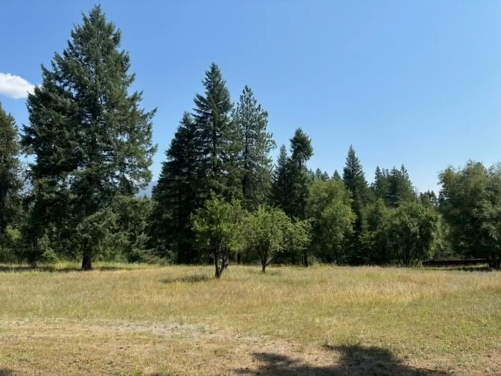 3 Prospect Creek Road Thompson Falls MT 59873