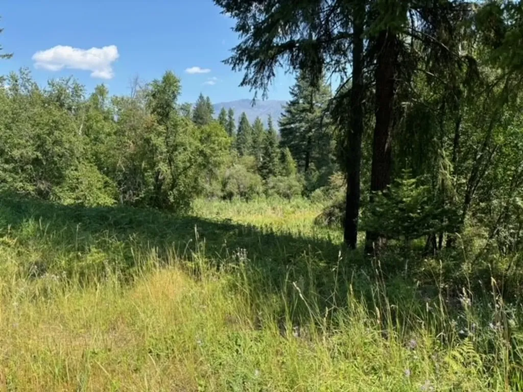 3 Prospect Creek Road Thompson Falls MT 59873