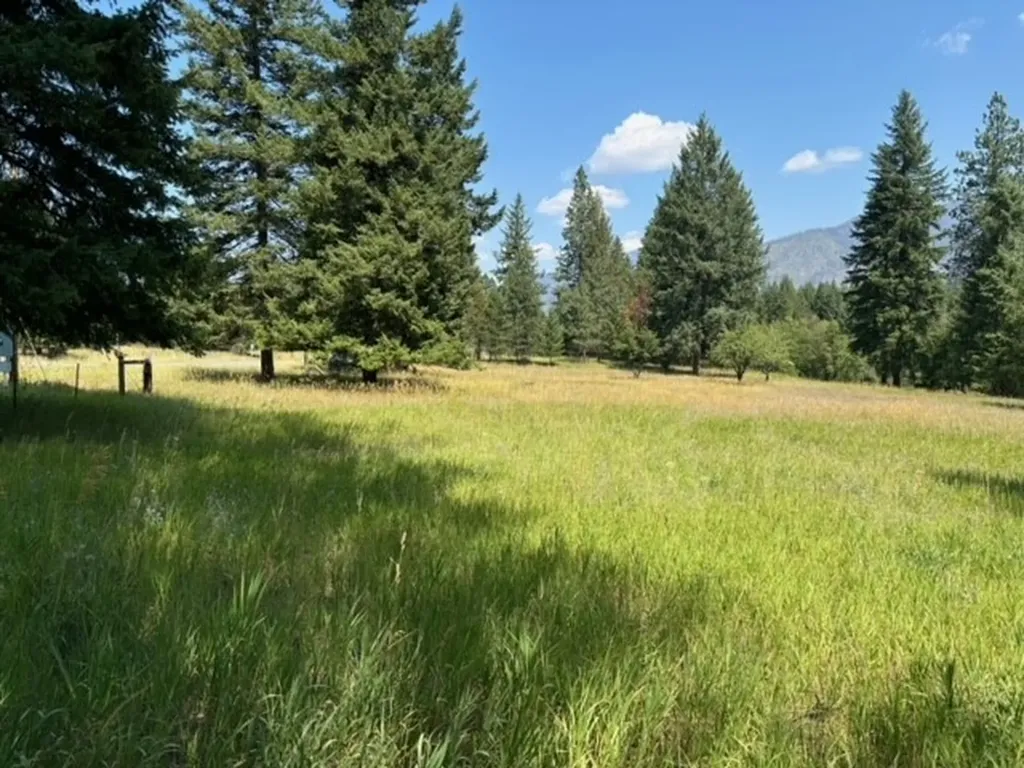 3 Prospect Creek Road Thompson Falls MT 59873