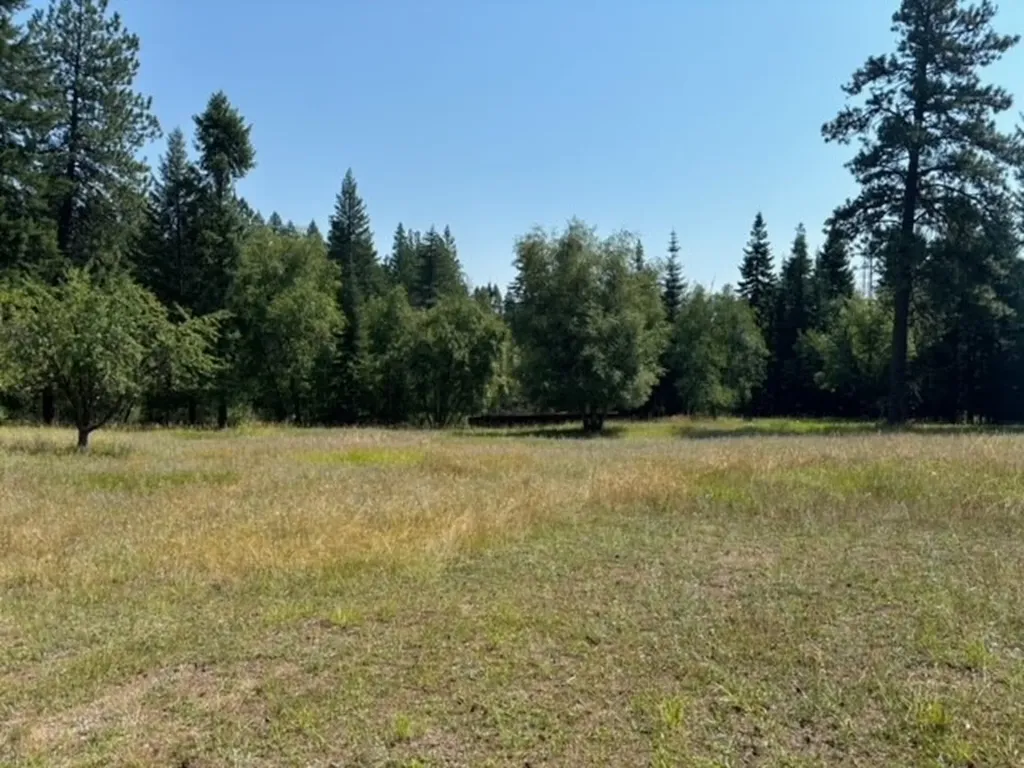 3 Prospect Creek Road Thompson Falls MT 59873