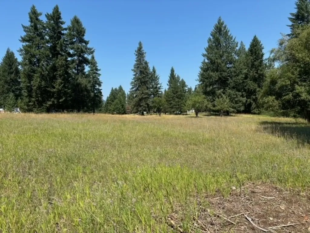 3 Prospect Creek Road Thompson Falls MT 59873