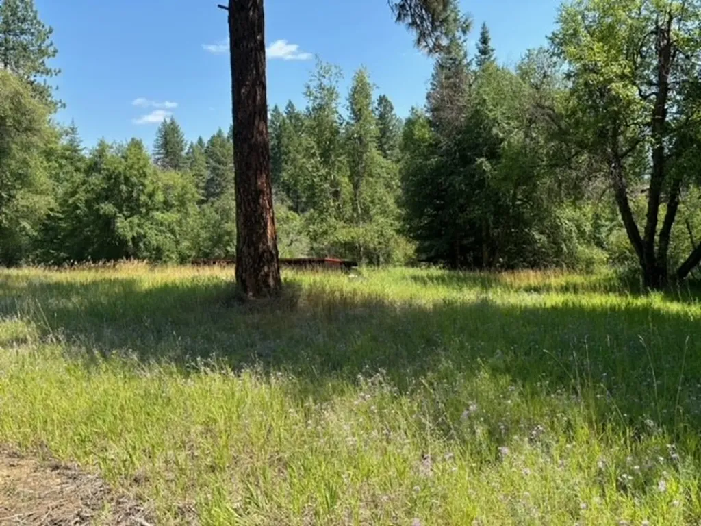 3 Prospect Creek Road Thompson Falls MT 59873