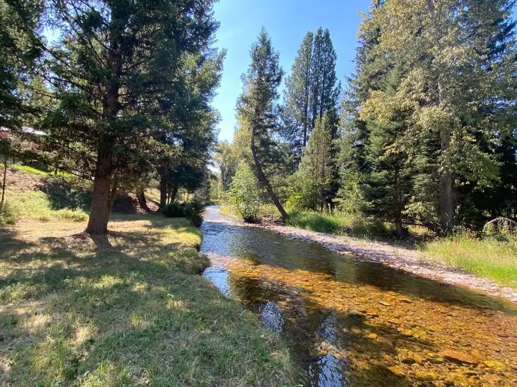 385 Black Bear Drive Seeley Lake MT 59868