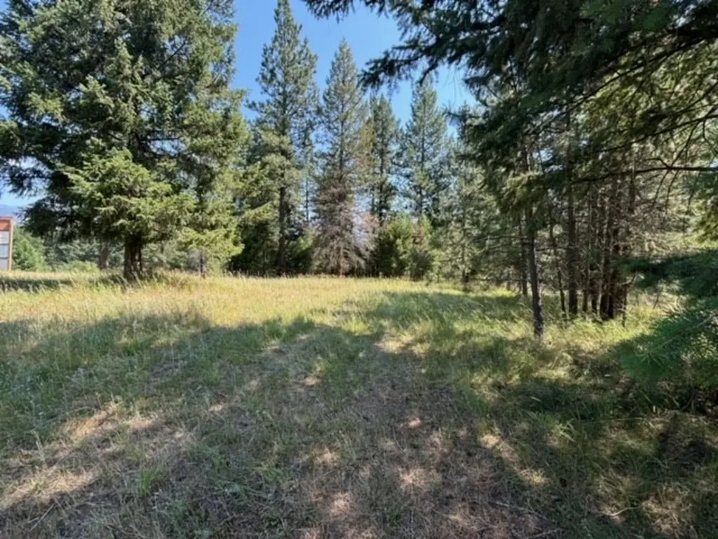 1 Prospect Creek Road Thompson Falls MT 59873