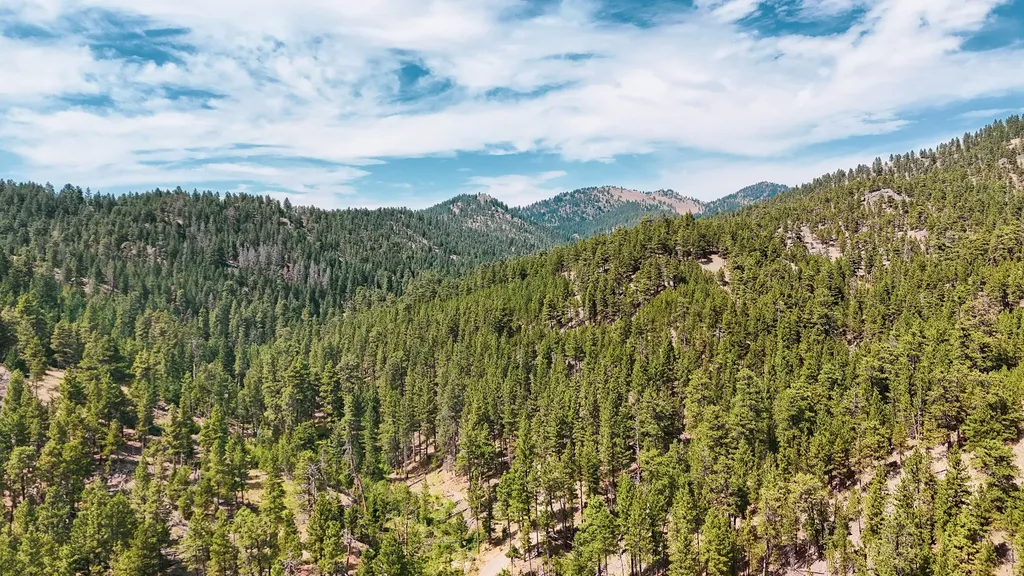 Nhn Upper Andy Creek Lane Cascade MT 59421