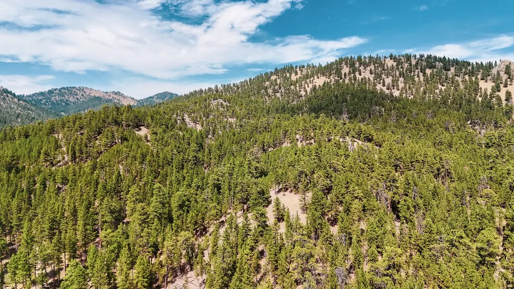 Nhn Upper Andy Creek Lane Cascade MT 59421
