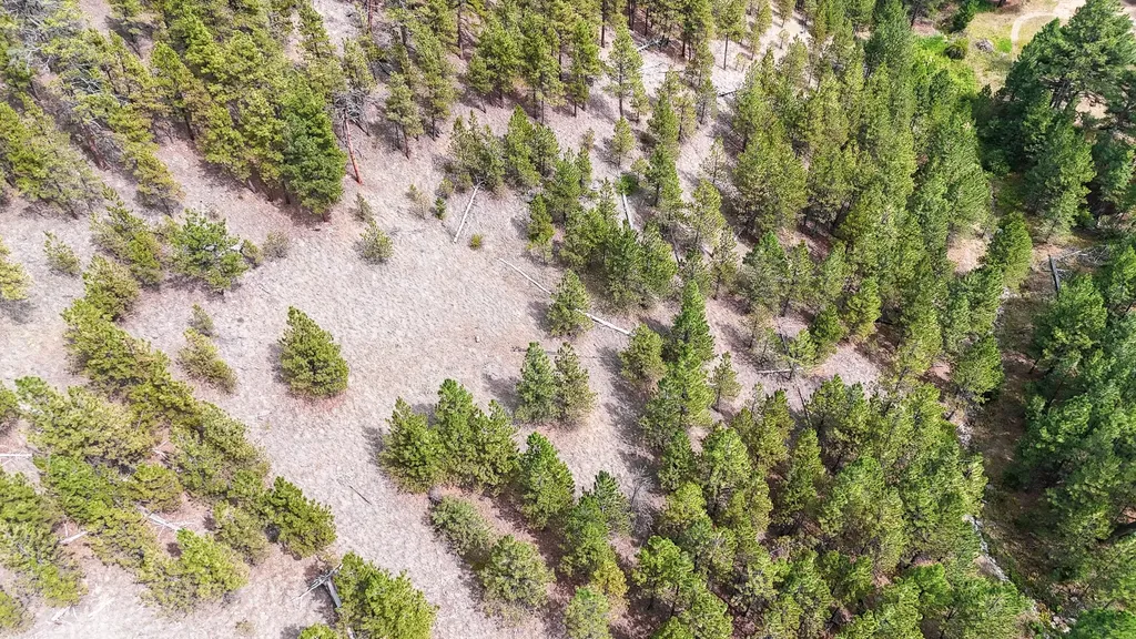 Nhn Upper Andy Creek Lane Cascade MT 59421