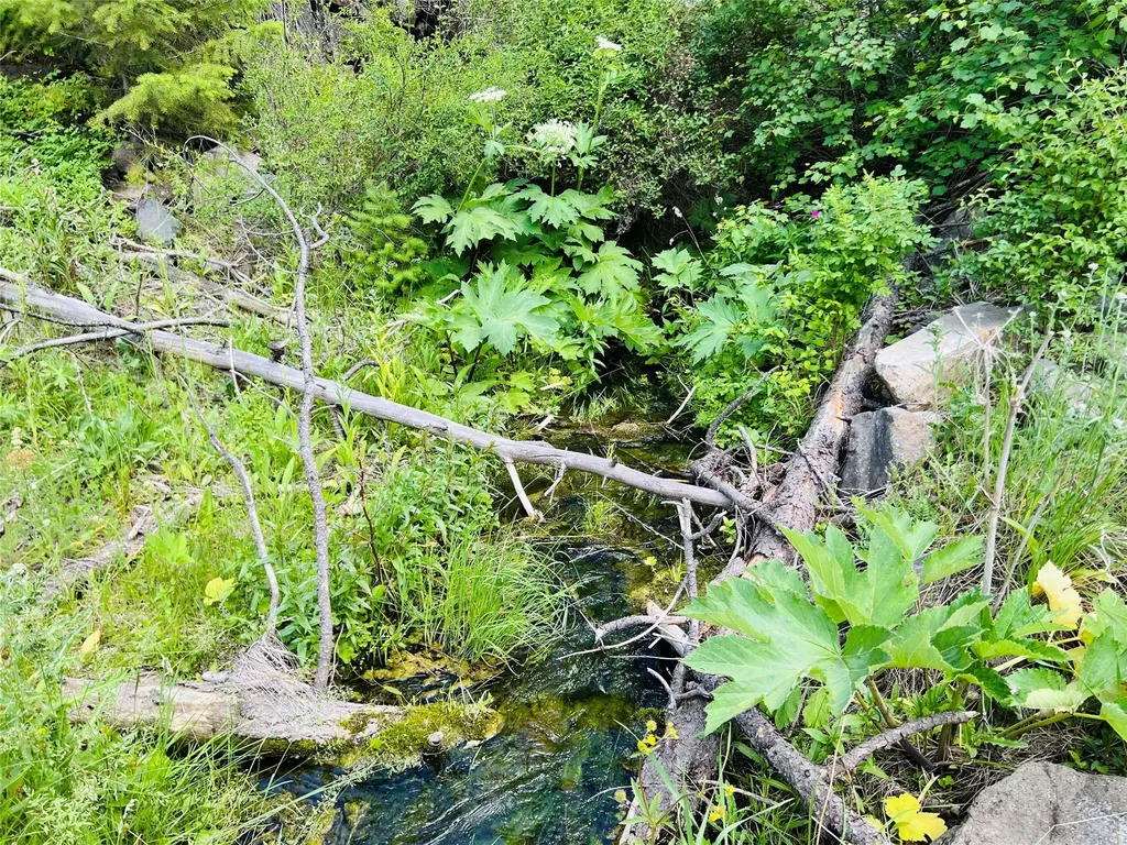 Nhn Upper Andy Creek Lane Cascade MT 59421