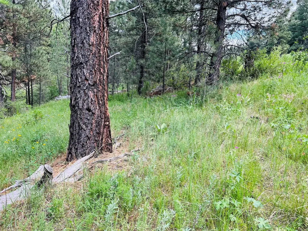 Nhn Upper Andy Creek Lane Cascade MT 59421