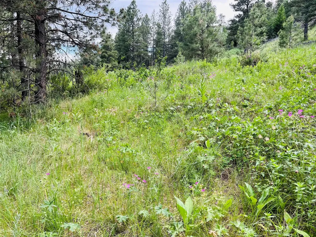 Nhn Upper Andy Creek Lane Cascade MT 59421