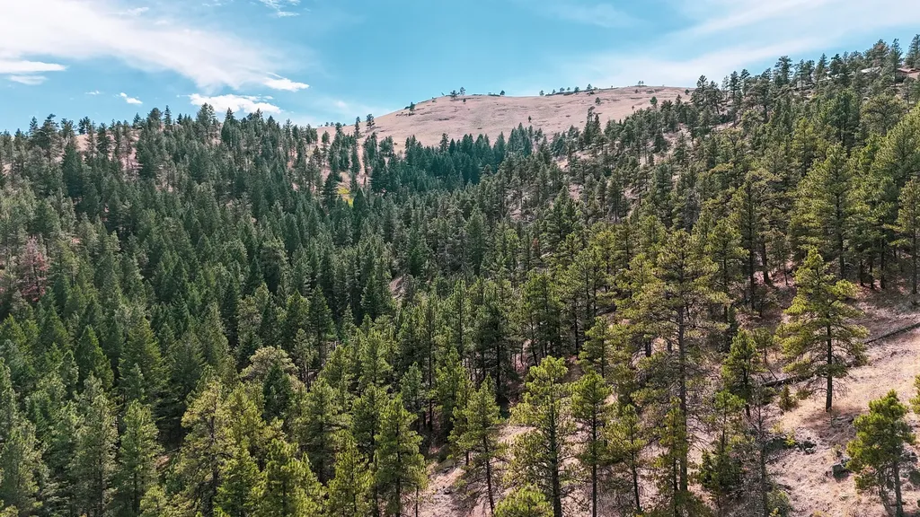 Nhn Upper Andy Creek Lane Cascade MT 59421