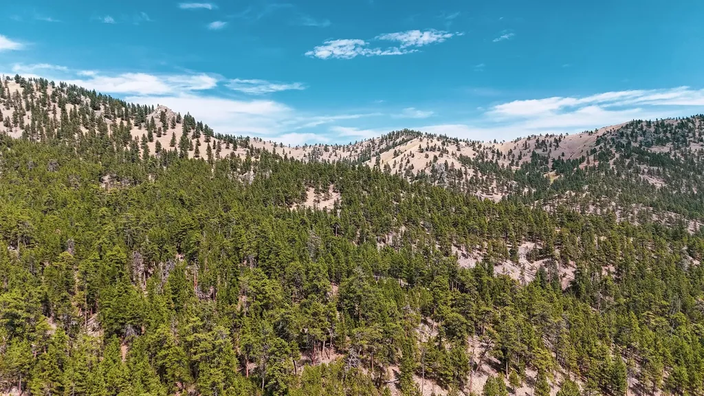 Nhn Upper Andy Creek Lane Cascade MT 59421