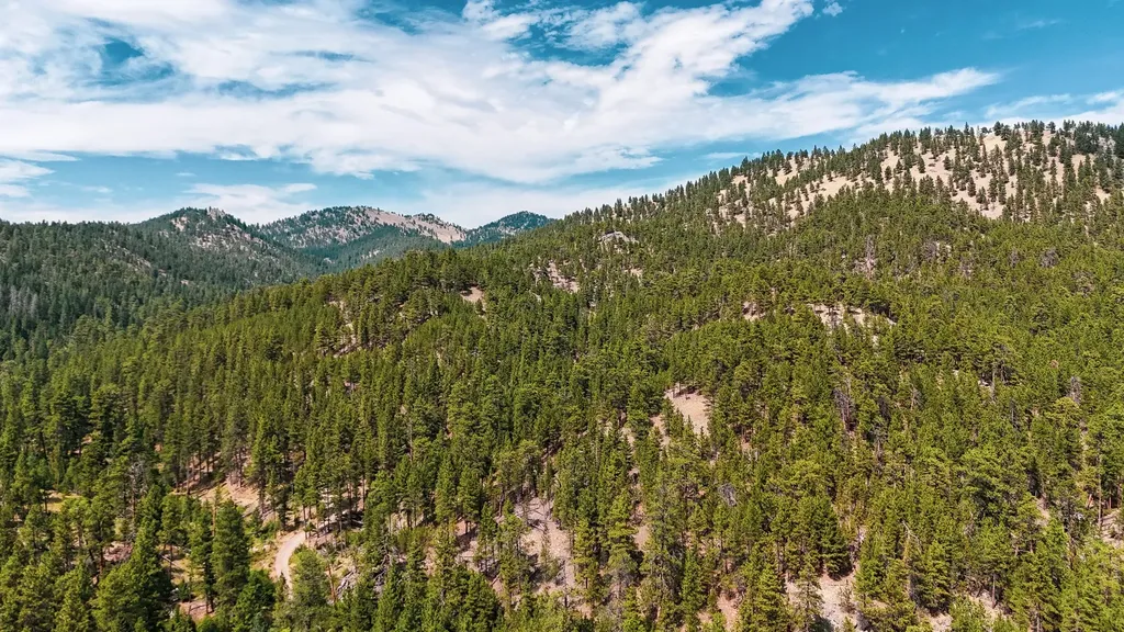 Nhn Upper Andy Creek Lane Cascade MT 59421