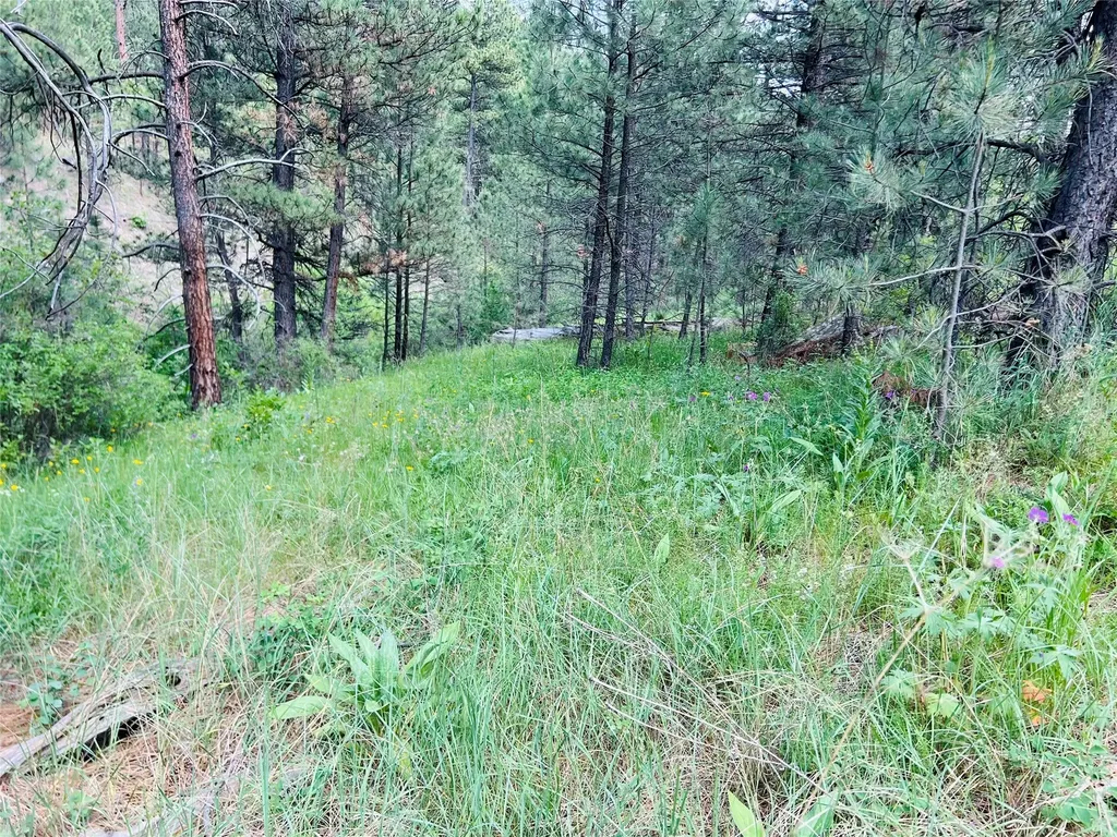 Nhn Upper Andy Creek Lane Cascade MT 59421