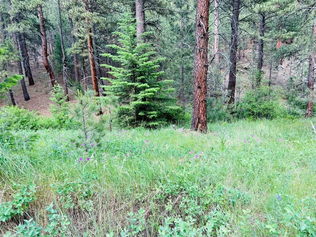 Nhn Upper Andy Creek Lane Cascade MT 59421