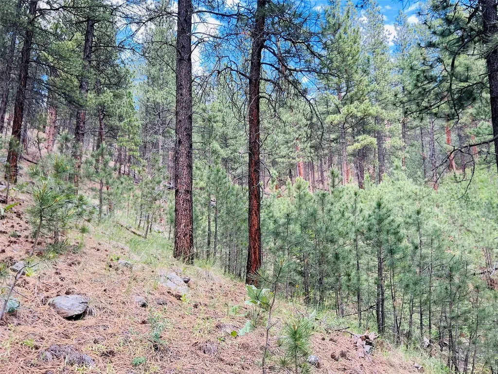 Nhn Upper Andy Creek Lane Cascade MT 59421