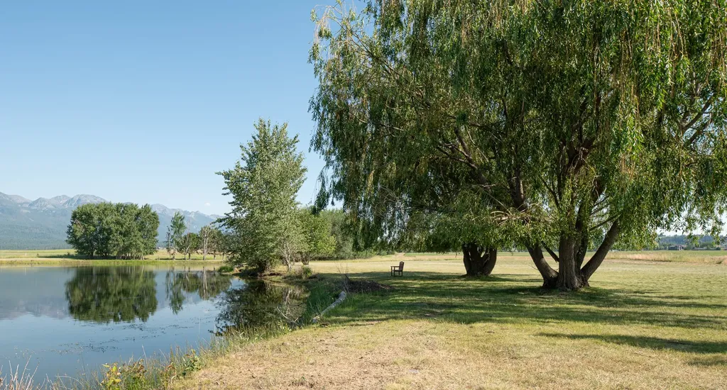 213 Pheasant Ridge Polson MT 59860
