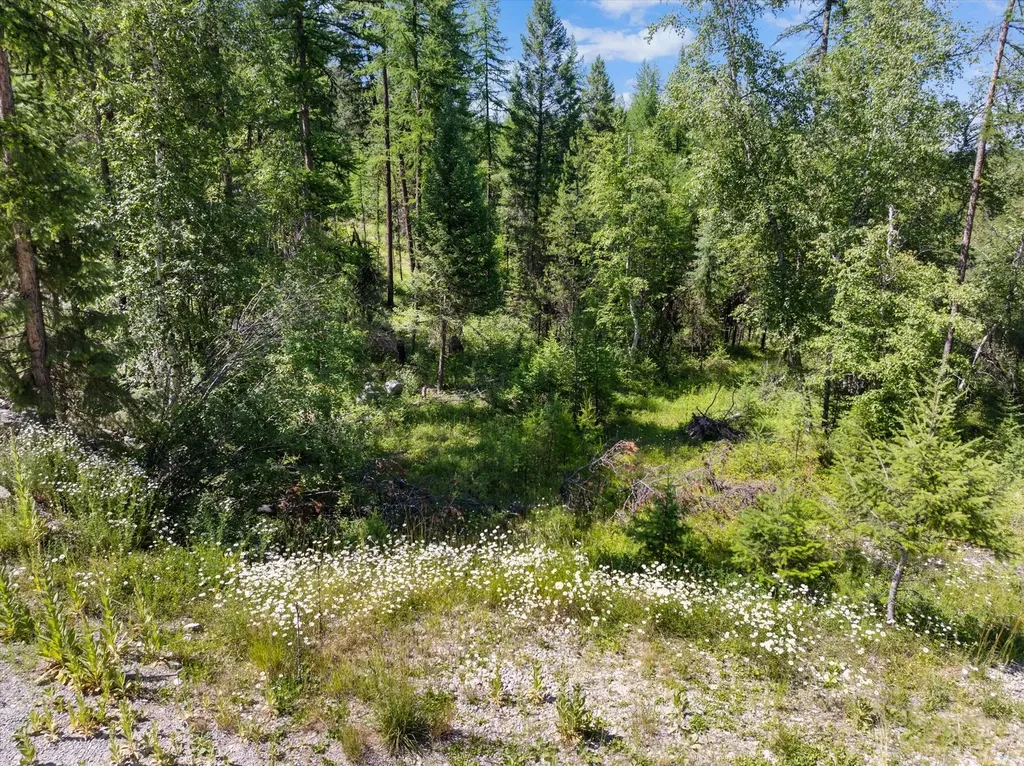 Nhn Hutchens Lane Whitefish MT 59937