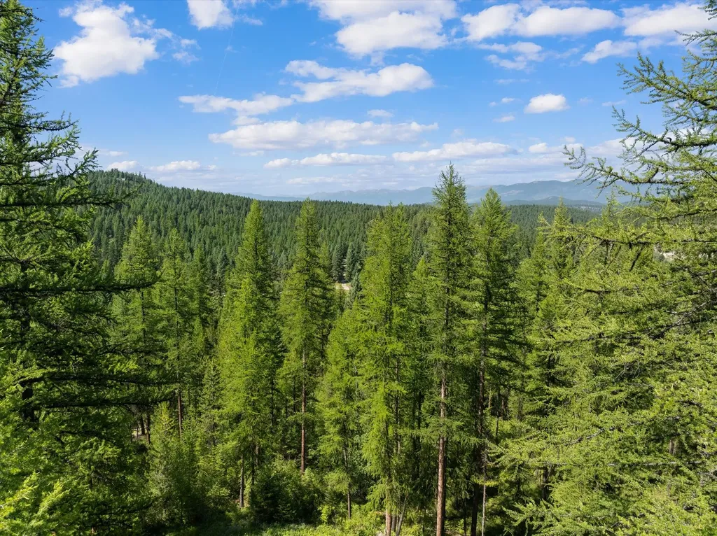 Nhn Hutchens Lane Whitefish MT 59937