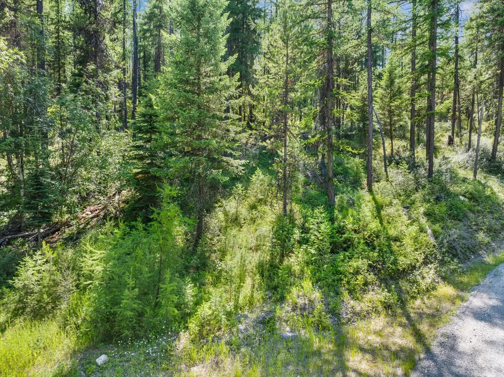 Nhn Hutchens Lane Whitefish MT 59937