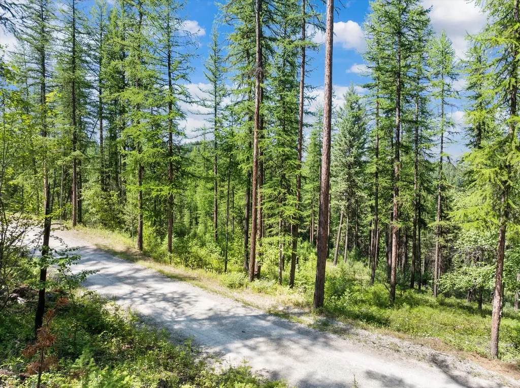 Nhn Hutchens Lane Whitefish MT 59937