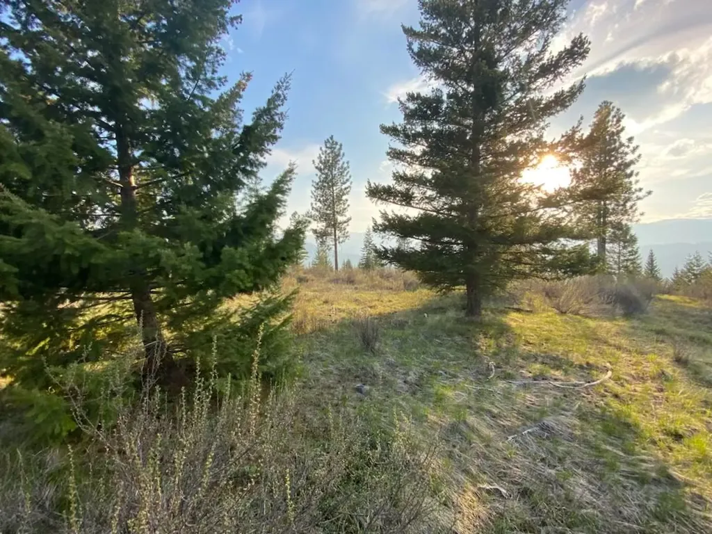 Lot 26 Bighorn Plains MT 59859