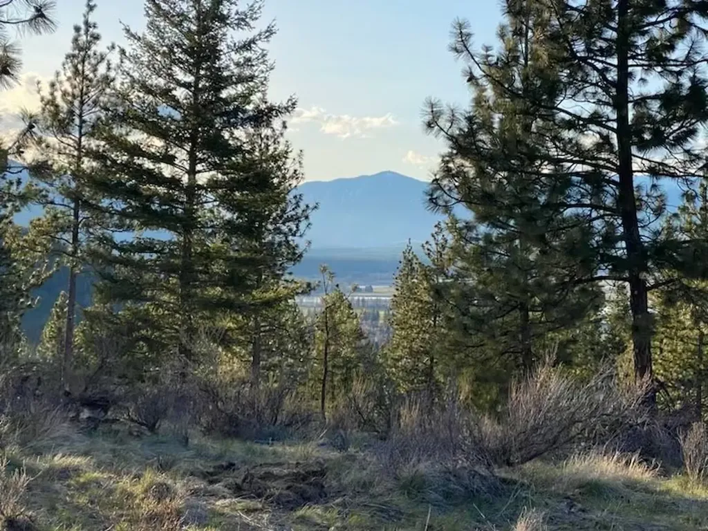Lot 26 Bighorn Plains MT 59859