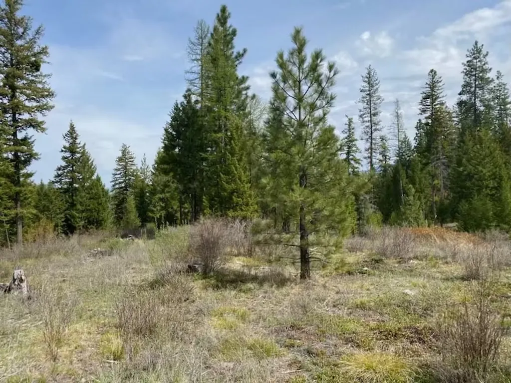 Lot 26 Bighorn Plains MT 59859