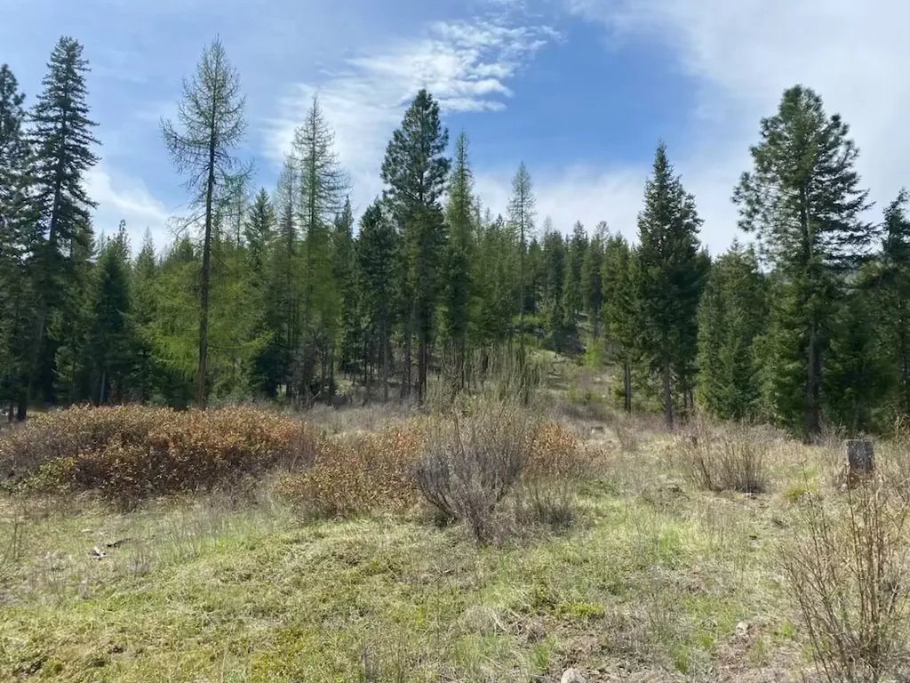 Lot 26 Bighorn Plains MT 59859
