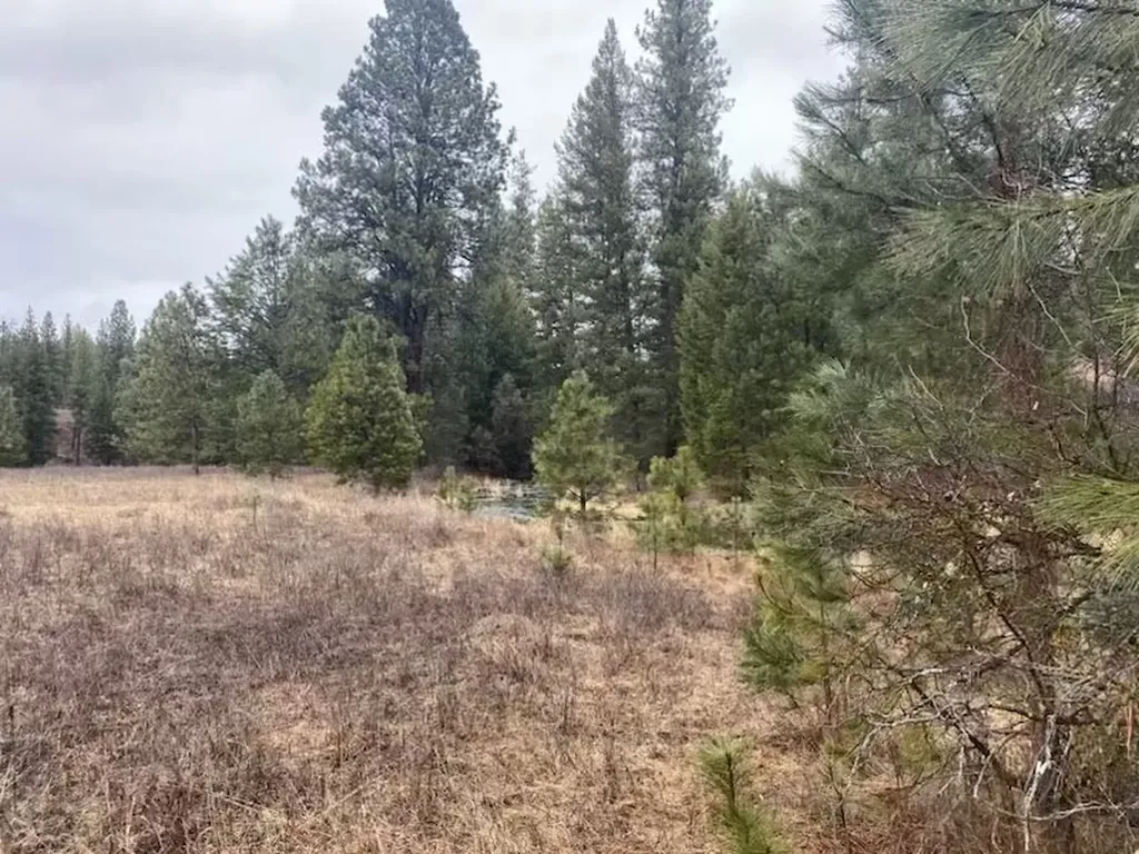 Lot 26 Bighorn Plains MT 59859
