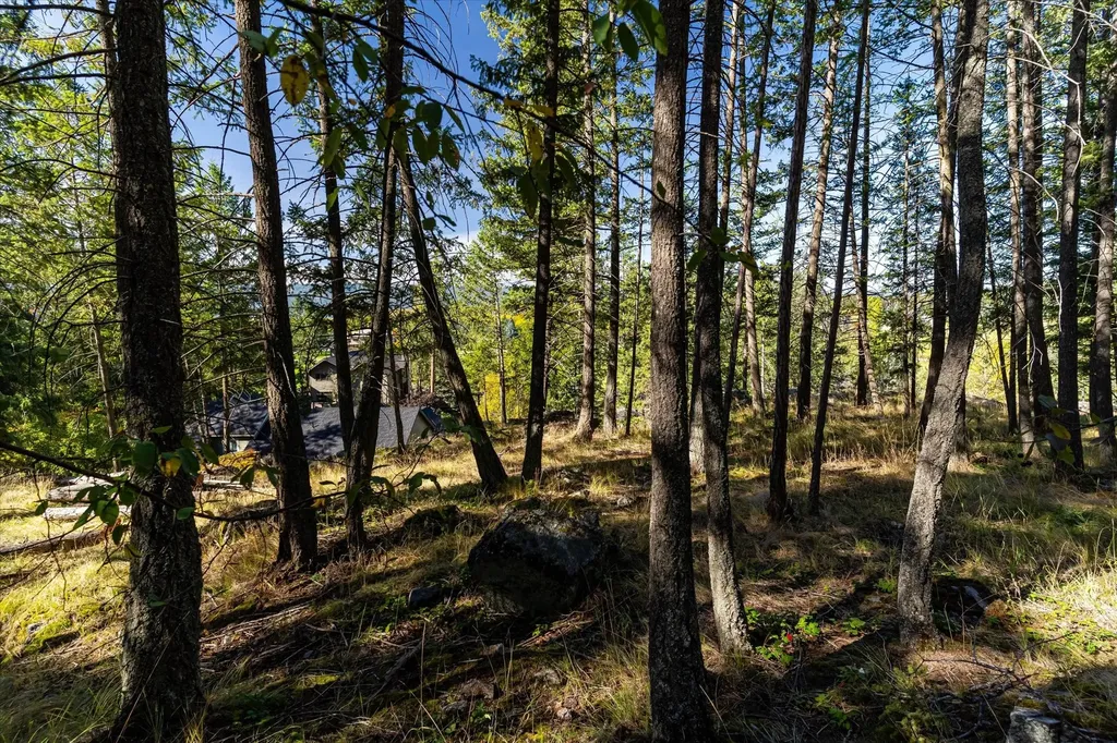 266 Eagle Bend Drive Bigfork MT 59911