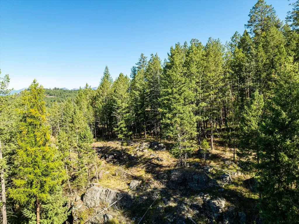 266 Eagle Bend Drive Bigfork MT 59911