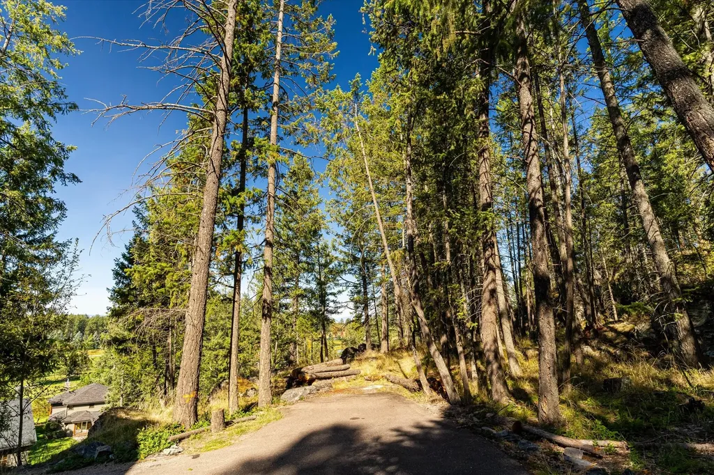 266 Eagle Bend Drive Bigfork MT 59911