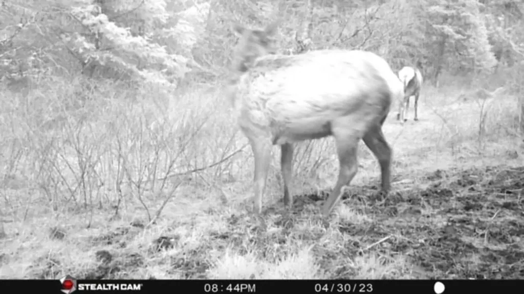 2434 Morning Dun Road Missoula MT 59804
