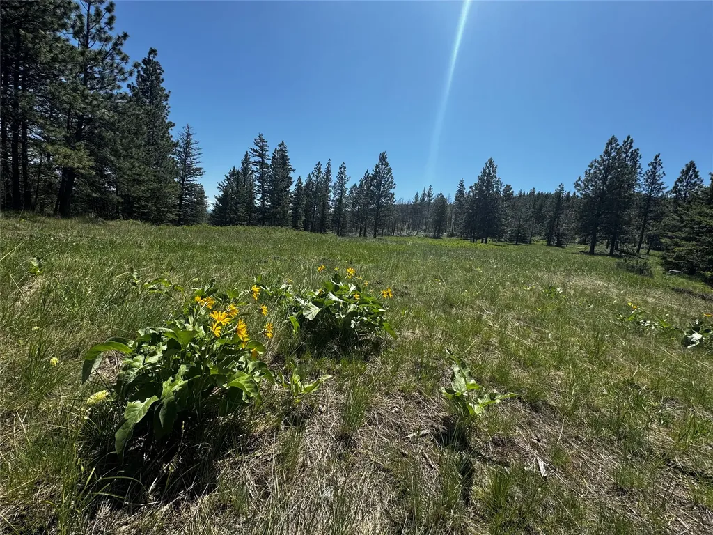 2434 Morning Dun Road Missoula MT 59804
