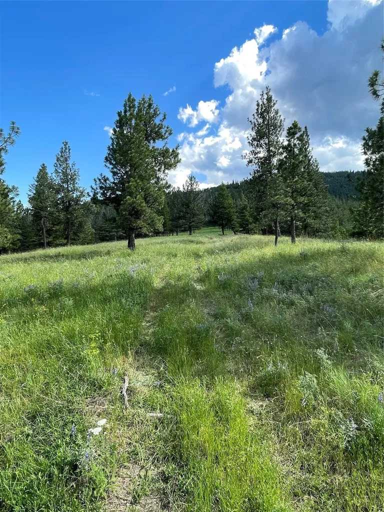 2434 Morning Dun Road Missoula MT 59804
