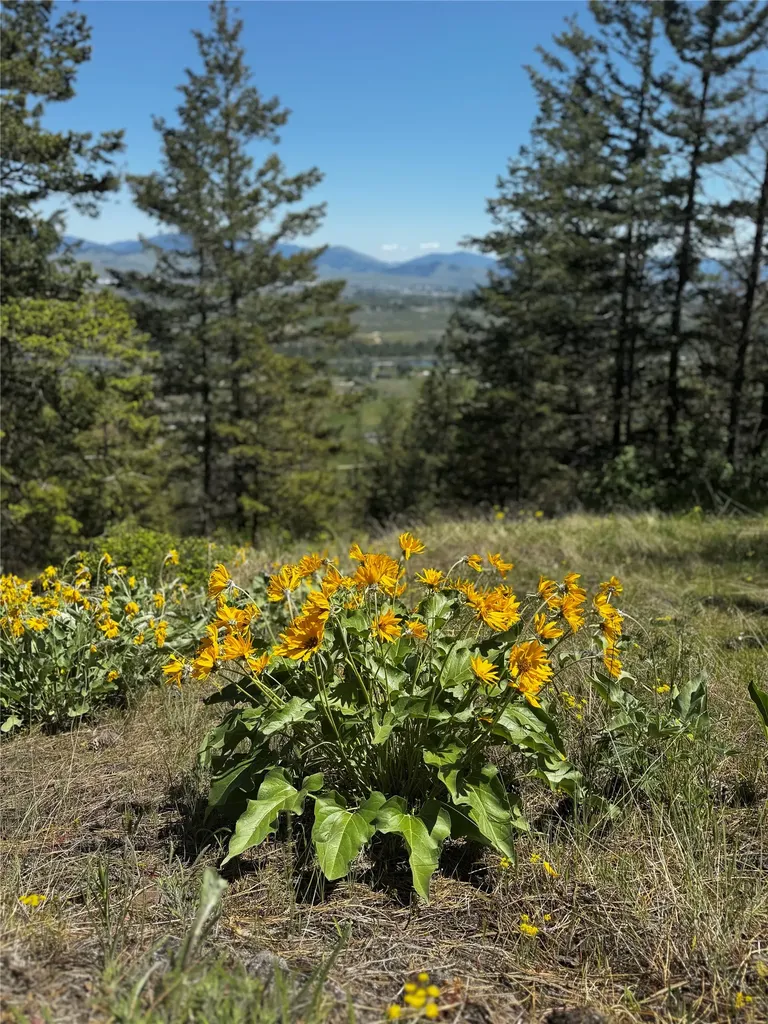 2434 Morning Dun Road Missoula MT 59804