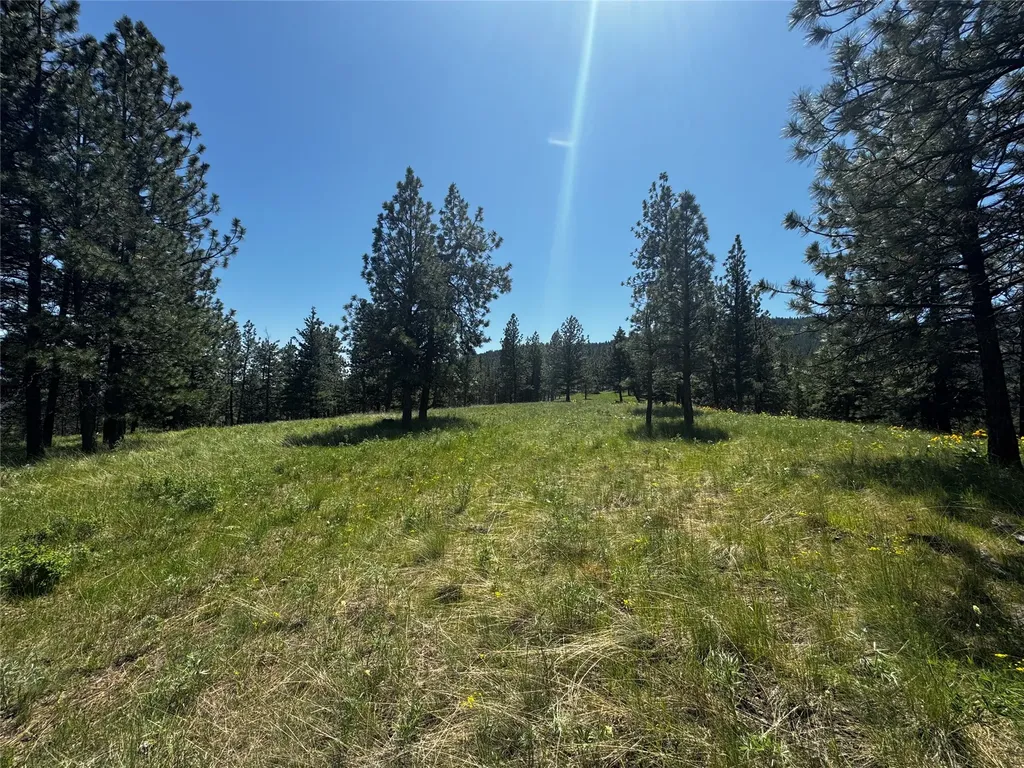 2434 Morning Dun Road Missoula MT 59804