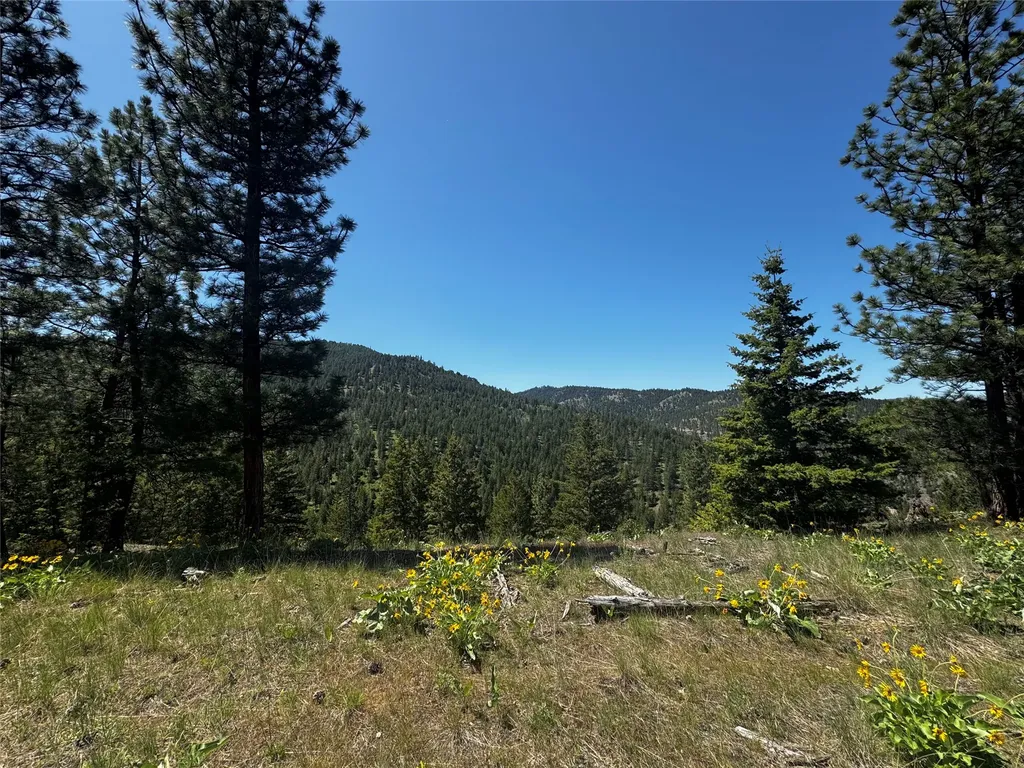 2434 Morning Dun Road Missoula MT 59804