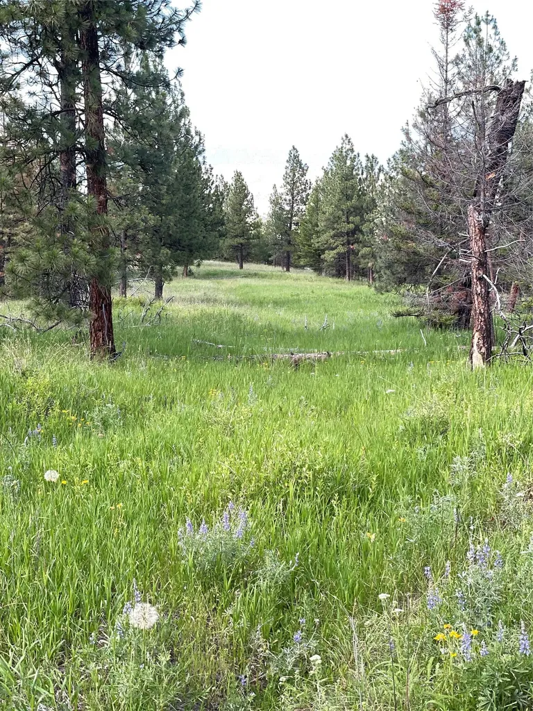 2434 Morning Dun Road Missoula MT 59804