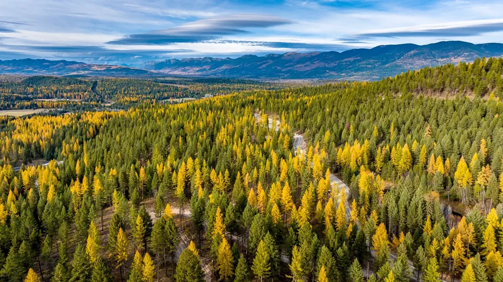 111 Northridge Court Road Whitefish MT 59937