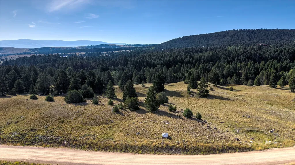 Lot 4 N Bighorn Road Deer Lodge MT 59722